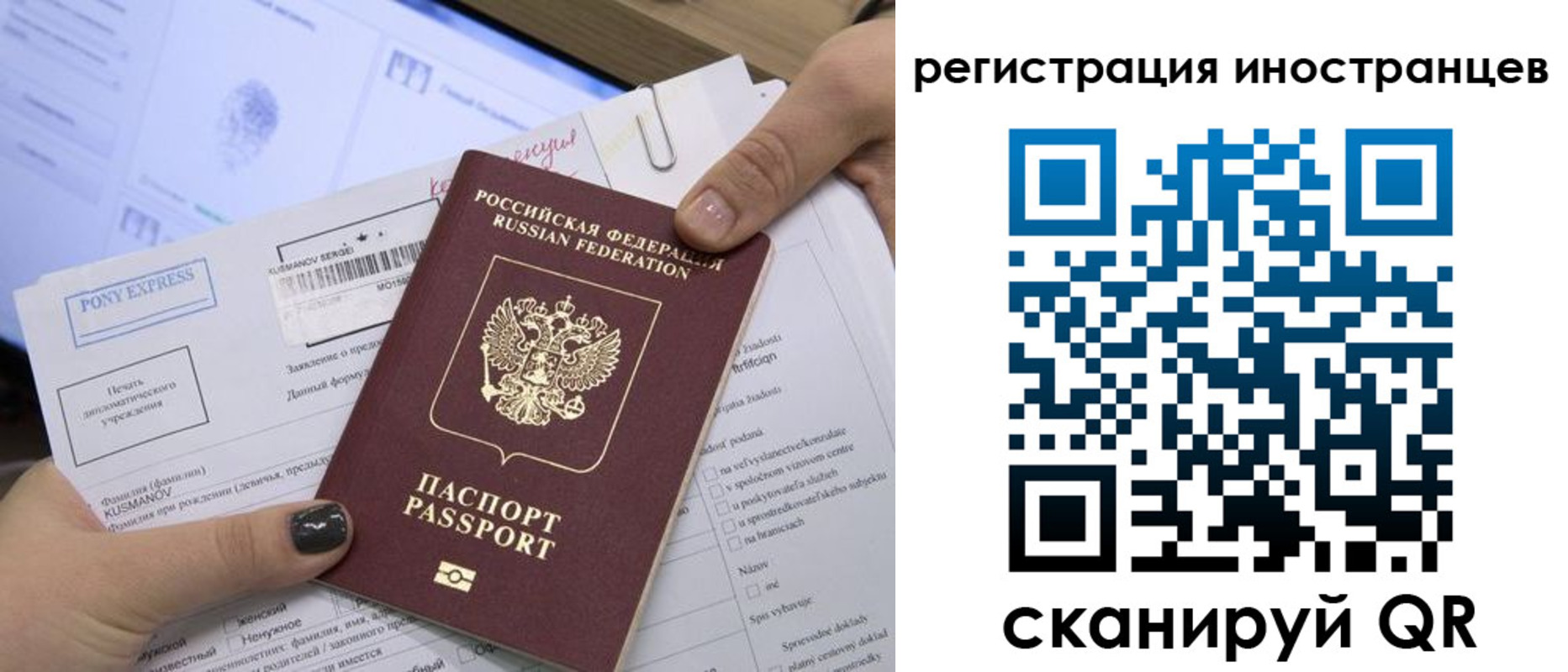 временная регистрация для всех в Курганской области